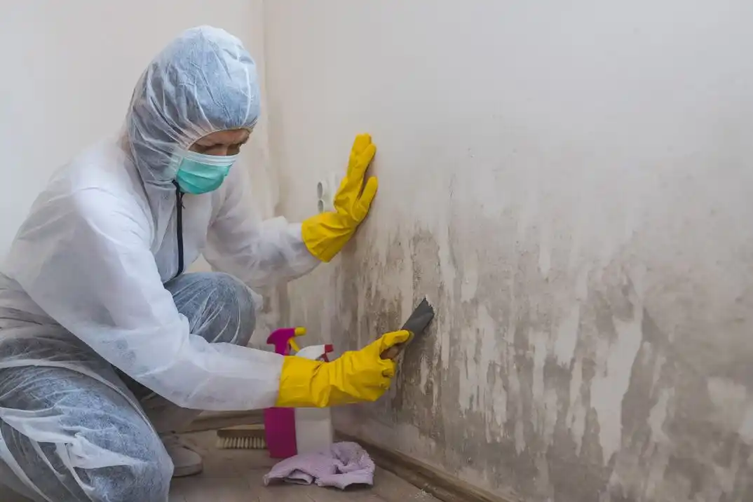 water damage restoration service Sylvan Shores